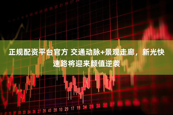 正规配资平台官方 交通动脉+景观走廊，新光快速路将迎来颜值逆袭