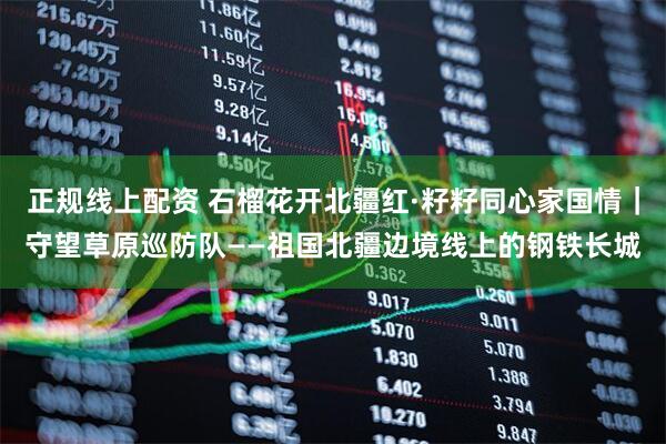 正规线上配资 石榴花开北疆红·籽籽同心家国情｜守望草原巡防队——祖国北疆边境线上的钢铁长城