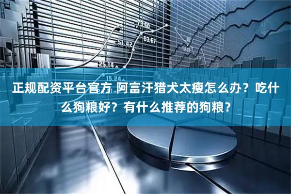 正规配资平台官方 阿富汗猎犬太瘦怎么办？吃什么狗粮好？有什么推荐的狗粮？